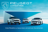 Peugeot Lwentage am Start
