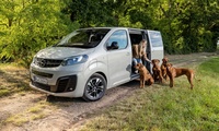Welthundetag: Mit dem Opel Zafira-e Life auf Tour