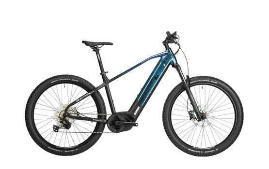 Bionicon E-Hardtail James - Bullige Bergziege