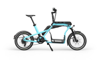 E-Lastenrad Ca Go CS - Handlicher Tieflader 