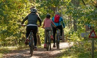 Fahrradhelm: Besser nicht oben ohne