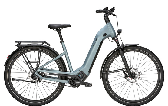 Pegasus Estremo Evo - So günstig geht Pinion MGU