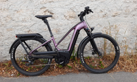 Pedelec-Vergleichstest Cannondale Tesoro und Totem Mythos - Zwei für alle Fälle