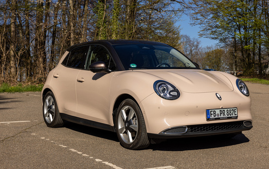 Topseller Ora Funky Cat