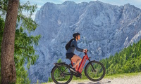 Touren-Pedelec Gazelle Eclipse - Aparter Allrounder