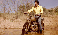 Ikone Elvis Presley und Triumph