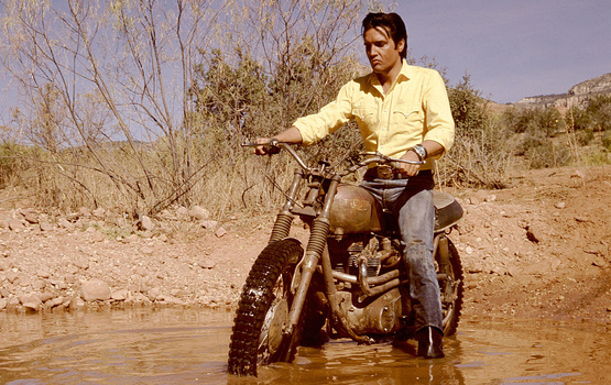 Ikone Elvis Presley und Triumph