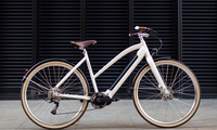 Temple Cycles Electric - Liebreiz dank Leder