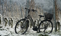 Tipps für Fahrten mit dem E-Bike im Winter