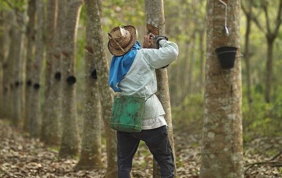 Pirelli: Top-Bewertung im Kampf gegen den Klimawandel
