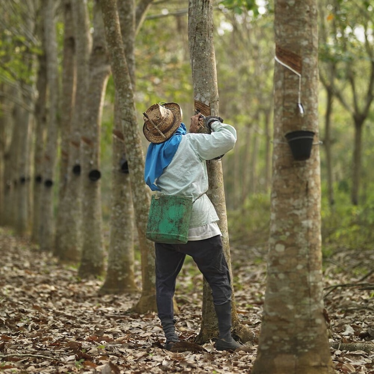 Pirelli: Top-Bewertung im Kampf gegen den Klimawandel