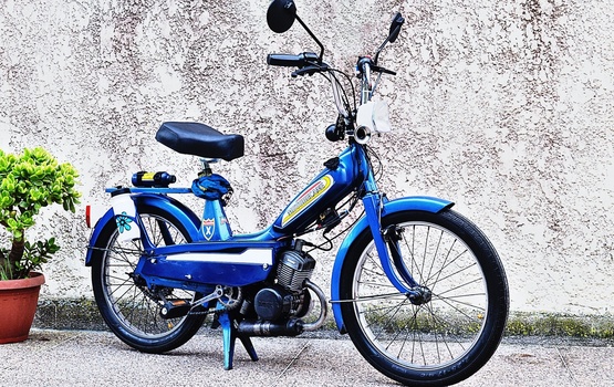Langfinger lieben Mopeds