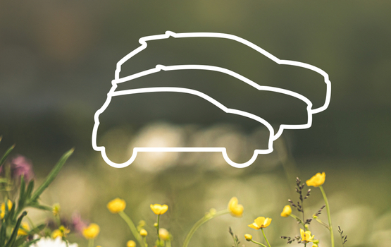 Hyundai engagiert sich beim Naturschutz