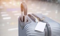 Flug, Fernbus und Bahn: Koffer weg, was tun?