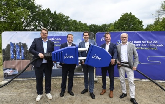 Aral pulse plant Großes