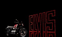 Triumph T 120 Elvis Presley Special Edition: Lang lebe der König