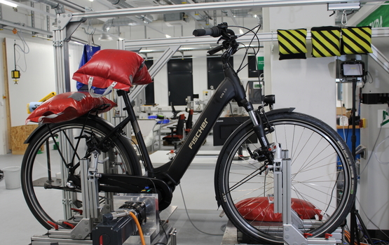 Pedelecs für Einsteiger im Test