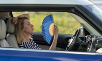 Hitzefalle Auto: So behält man einen kühlen Kopf