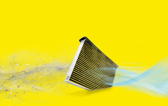 Schimmel, Pollen und Feinstaub in der Autoluft