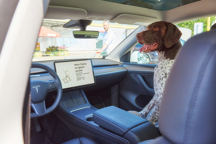 E-Auto: Hundemodus hält Temperatur konstant