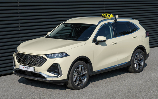 GWM Wey 03 für den Taxibetrieb erhältlich