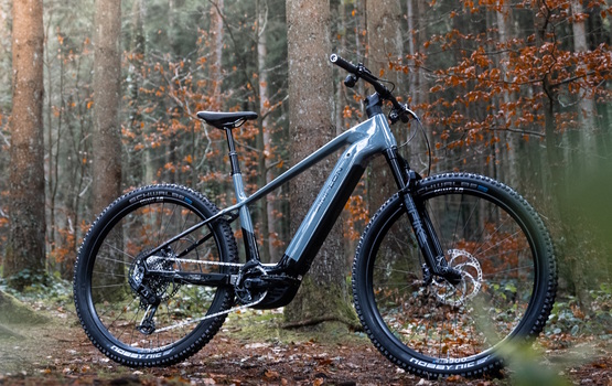 Simplon Cure und Sengo :e - Hoch und weit