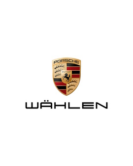 Kampagne #ZusammenFürDemokratie -  „Wählen“ statt „Porsche“