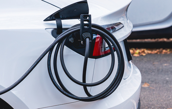 EV Genius  - Kabelhalterung für das E-Auto 