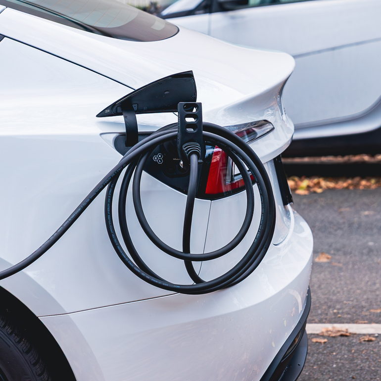 EV Genius  - Kabelhalterung für das E-Auto 