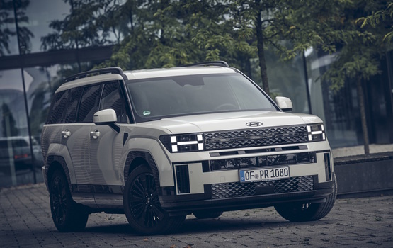 Test: Hyundai Santa Fe  - Koreaner mit Charakter