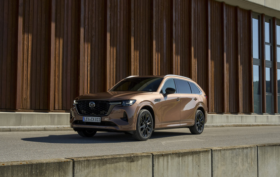 5x: Diesel-Siebensitzer im Vergleich - Raumriesen für die Reise