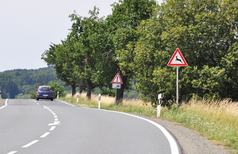 Ratgeber: Wildunfall   - Vorsicht nach der Zeitumstellung 