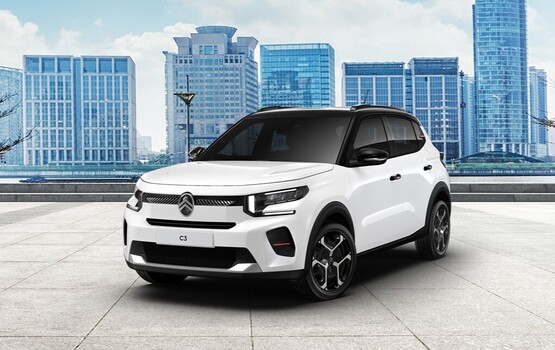 Citroen e-C3 Van  - Ladung statt Sitze